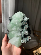 Load image into Gallery viewer, Green Apophyllite
