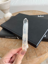 Load image into Gallery viewer, Blue Lemurian
