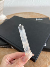 Load image into Gallery viewer, Blue Lemurian
